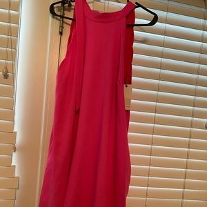 Adorable Loveriche hot pink dress new with tags